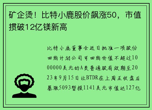 矿企烫！比特小鹿股价飙涨50，市值掼破12亿镁新高